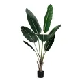 Umělá rostlina Strelitzia – zelená – 135 cm – 1 kus