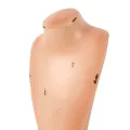 Buste - bruin - 35 cm